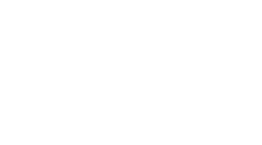 https://www.facebook.com/noahandthewhale/